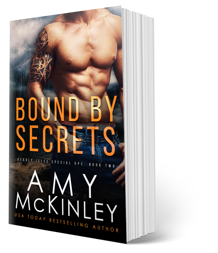 military romance - romantic suspense book