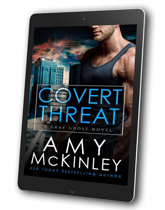 military romance - romantic suspense - gray ghost series