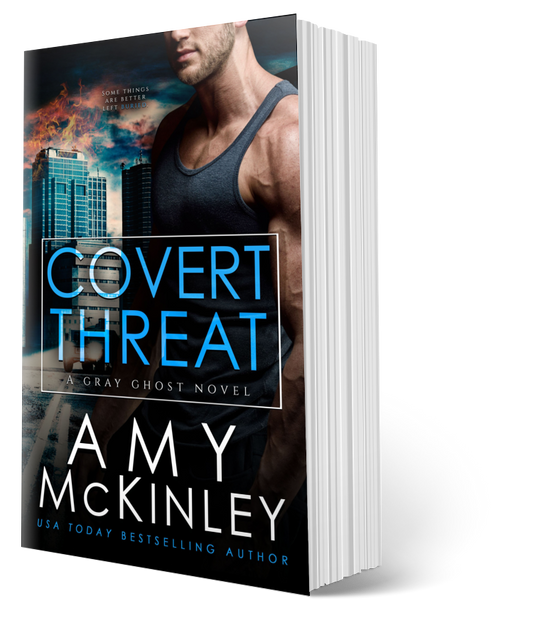 military romance - romantic suspense - gray ghost series