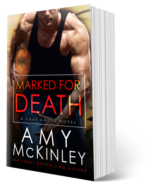 military romance - romantic suspense - gray ghost series